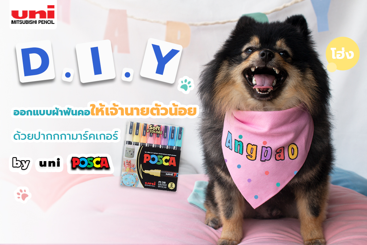 diy-pet-scarf
